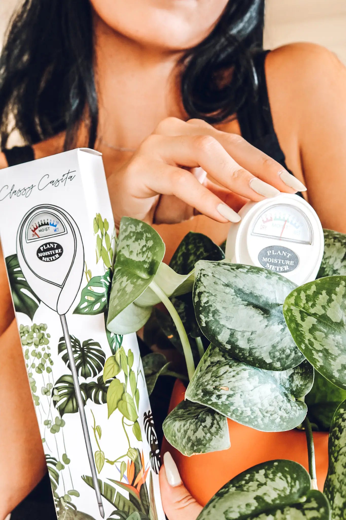 Humidimètre pour plante