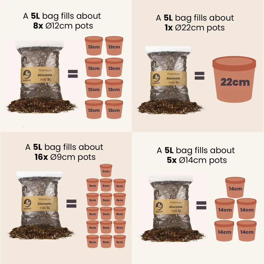 Mix pour Aracée 5L
