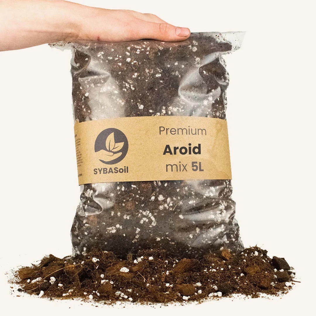 Mix pour Aracée 5L