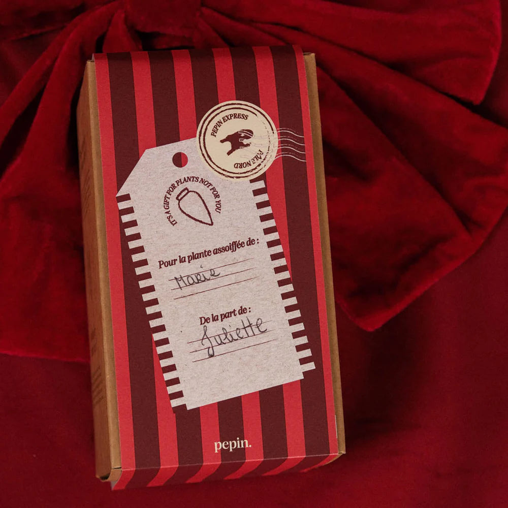 Olla Vert - Édition limitée Noël 🎄