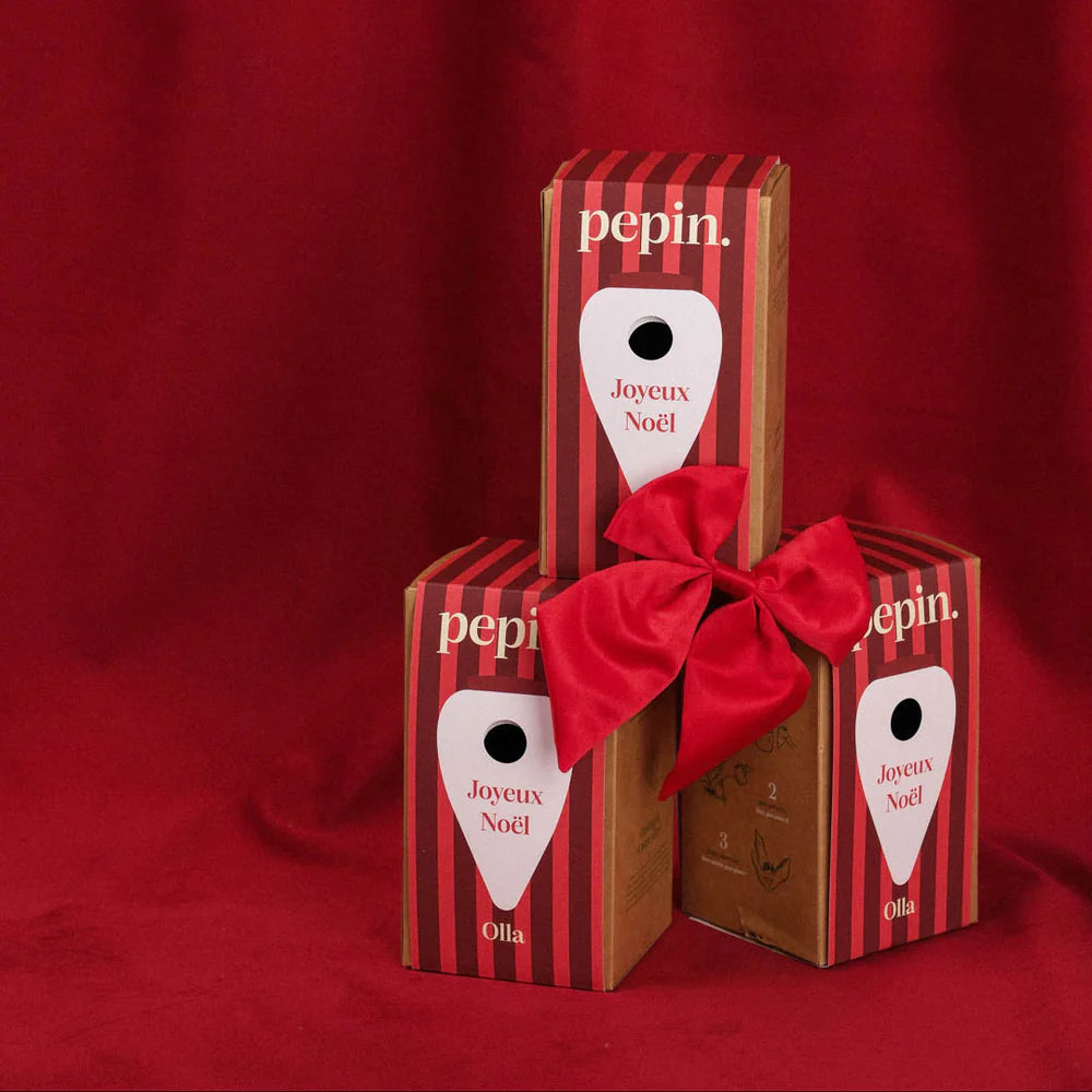 Olla Vert - Édition limitée Noël 🎄