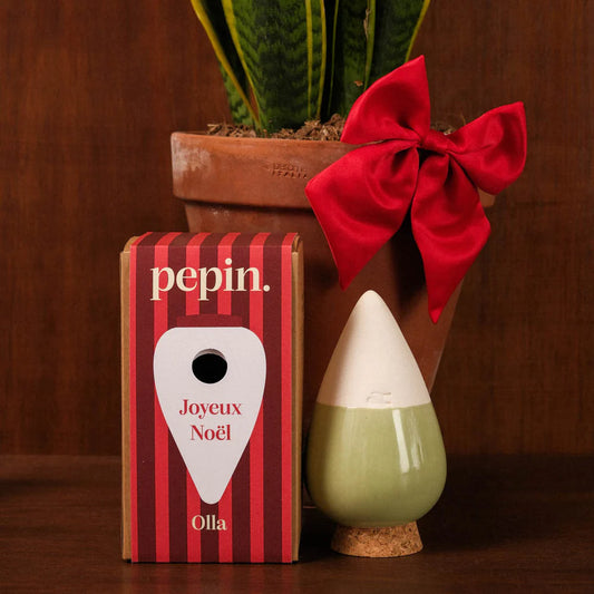 Olla Vert - Édition limitée Noël 🎄
