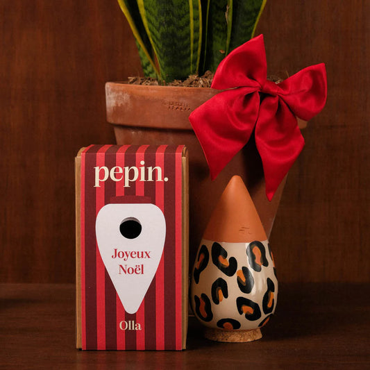 Olla Léopard - Édition limitée Noël 🎄