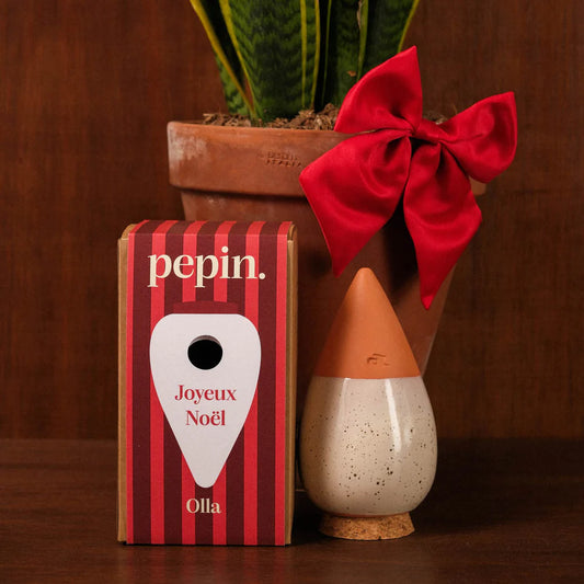Olla Blanc grainé - Édition limitée Noël 🎄