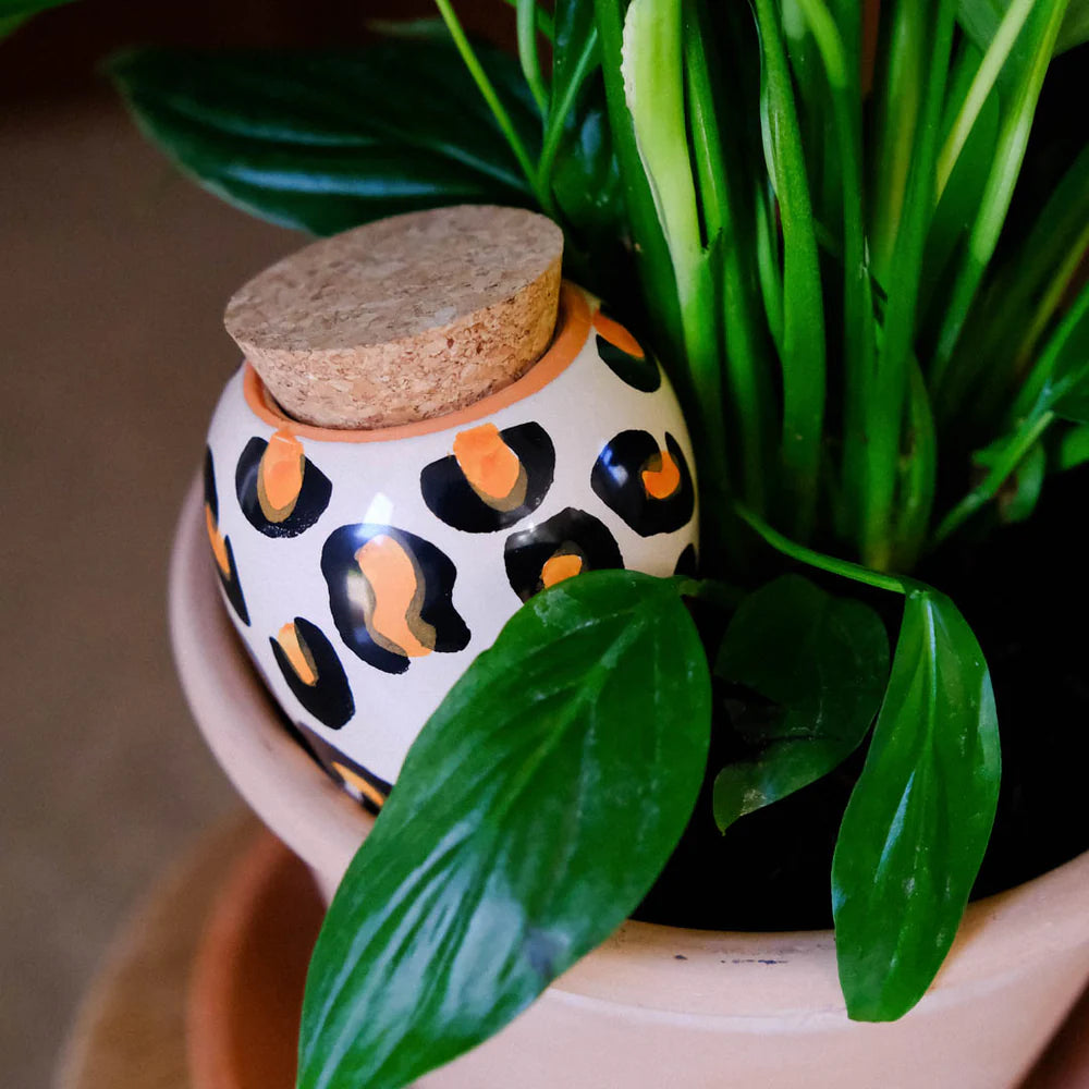 Olla Léopard - Édition limitée Noël 🎄