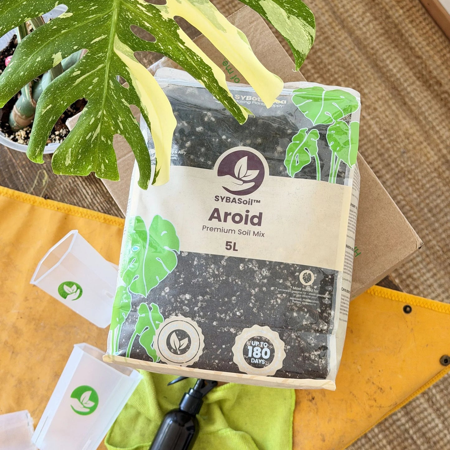 Mix pour Aracée 5L - Aroid Mix 5L