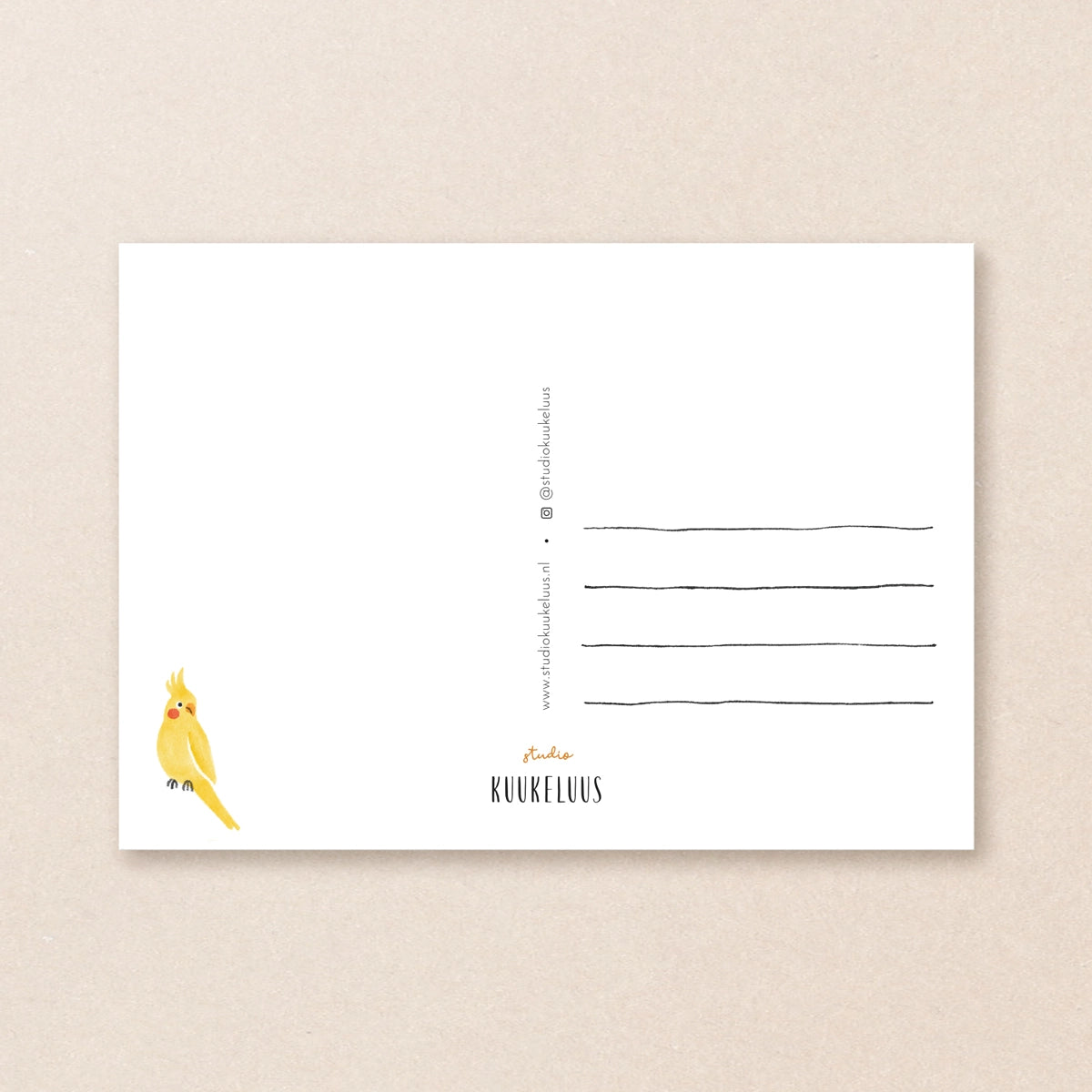 Carte postale ''Ficus Lyrata''