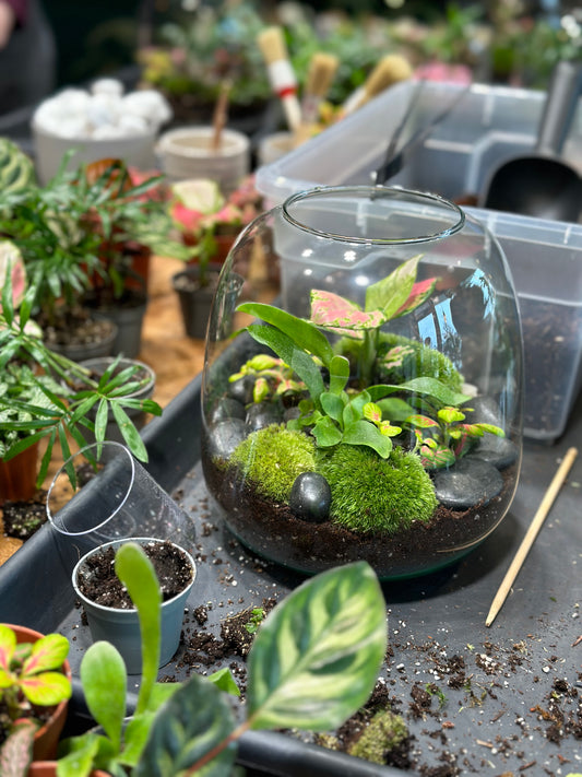 Atelier - Créer son terrarium