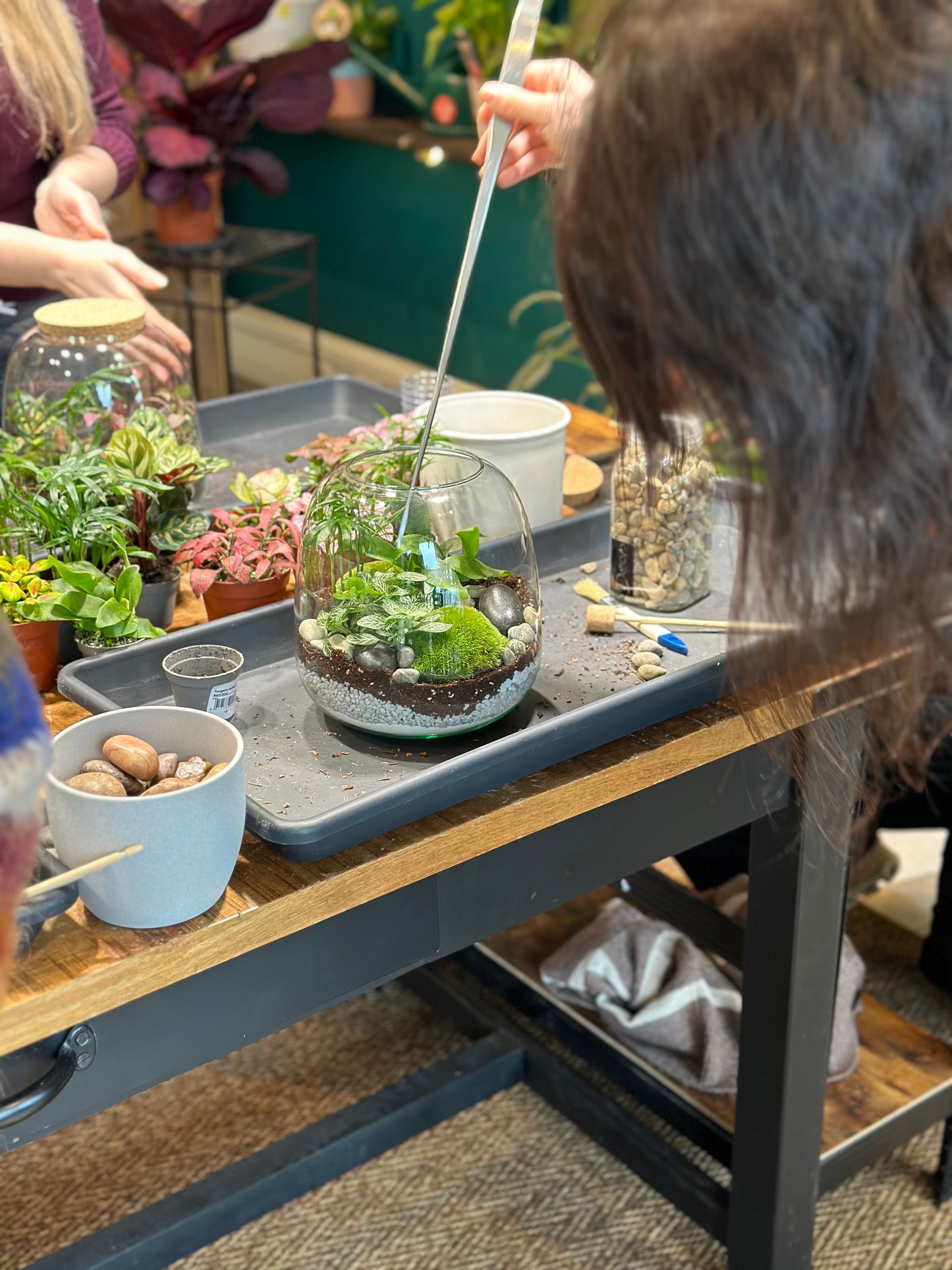 Atelier - Créer son terrarium