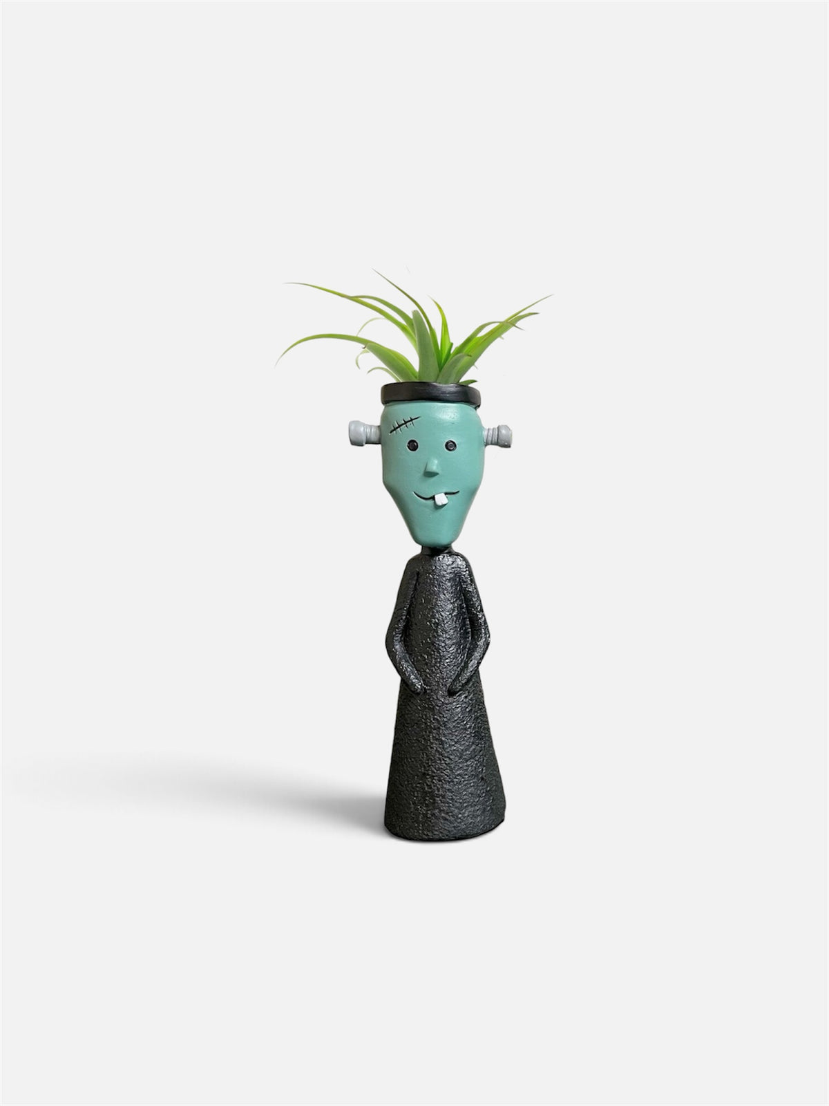 Tillandsia Halloween Mystery Kids