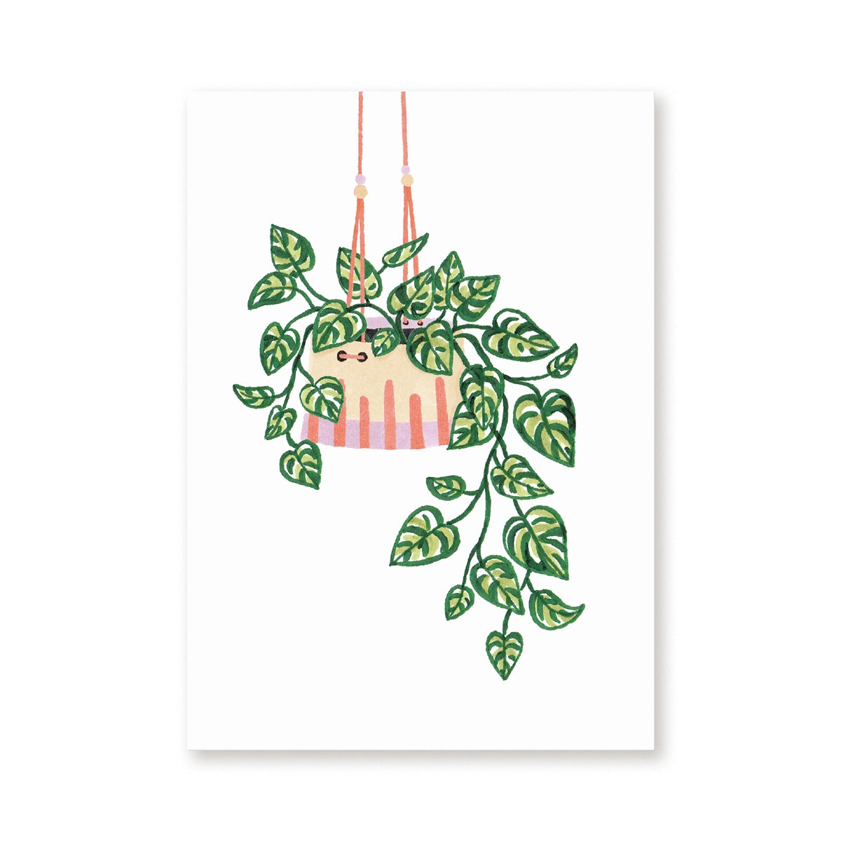 Carte postale ''Plante suspendue''