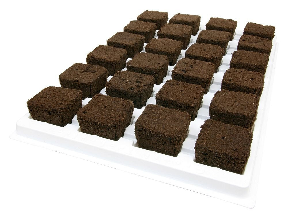 Growth Technology Root Riot plateau de 24 cubes de propagation