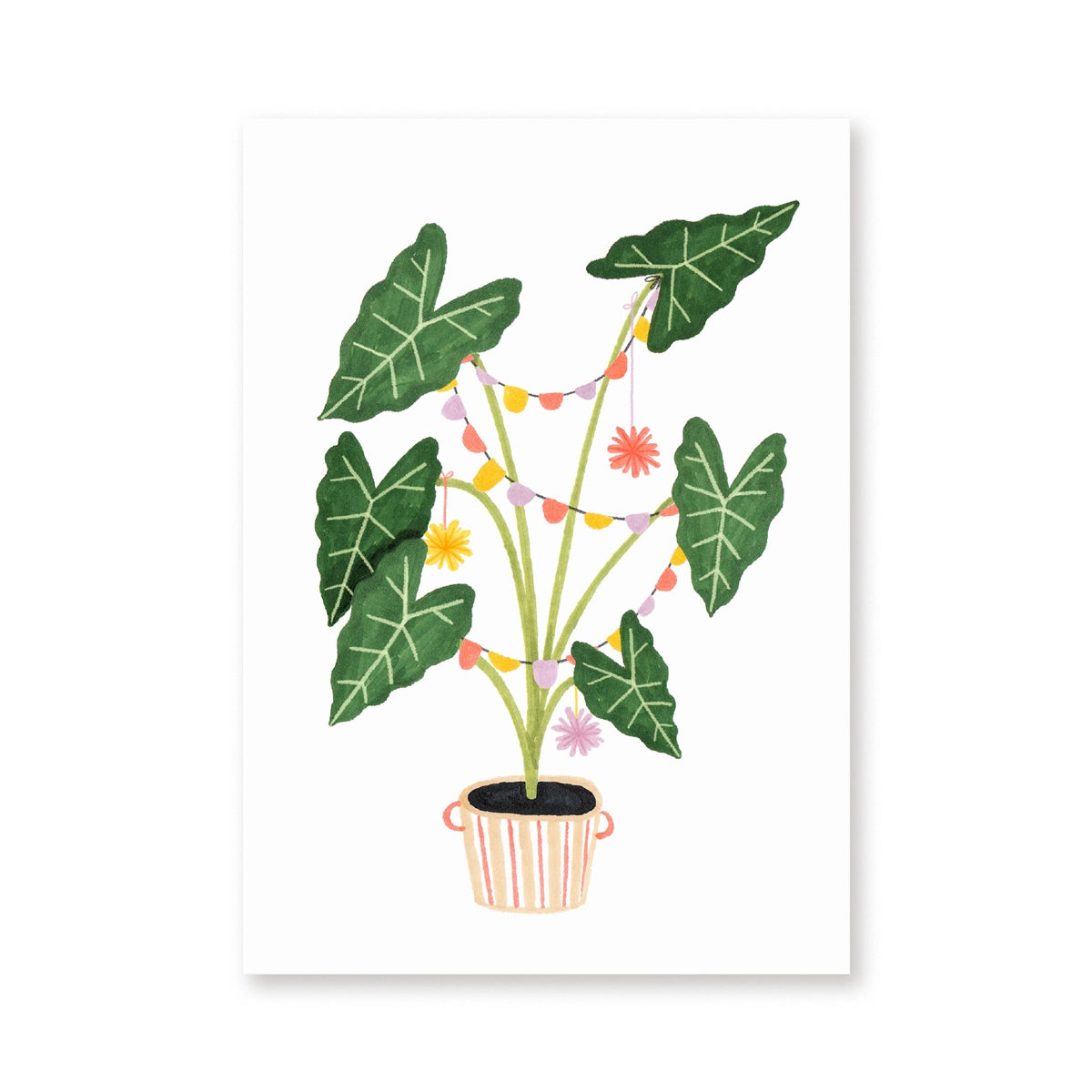 Carte postale ''Alocasia en fête''