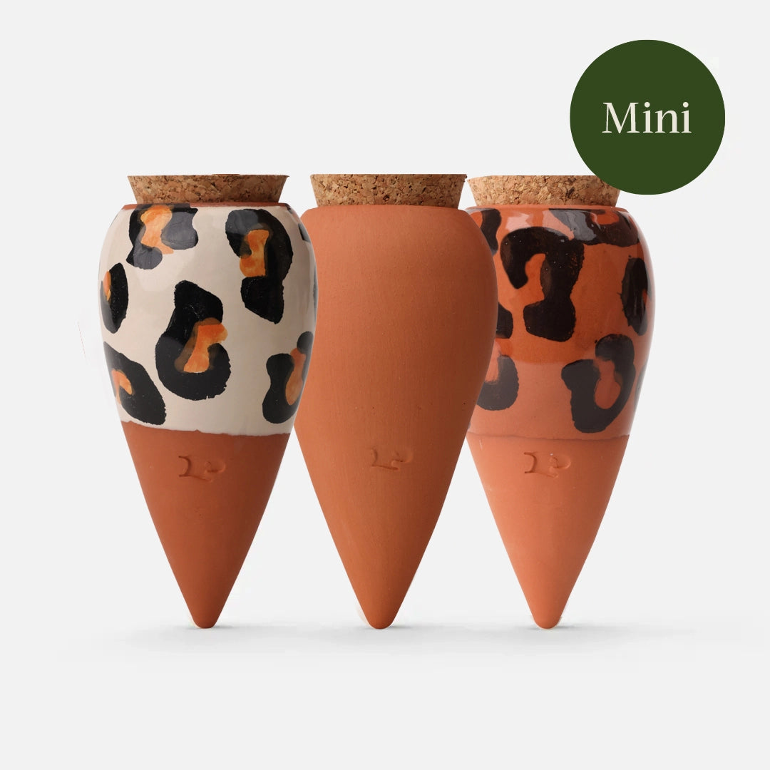 Trio mini Ollas  - Les léopards Pepin
