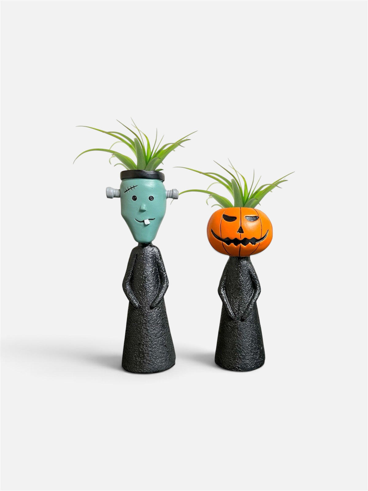 Tillandsia Halloween Mystery Kids
