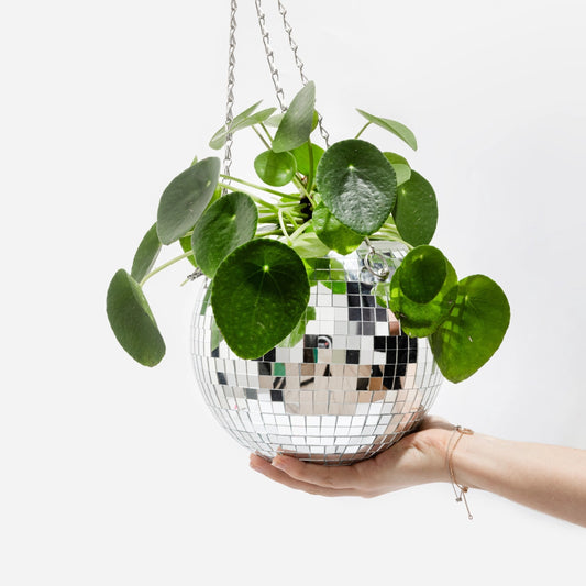 Cache-pot boule disco