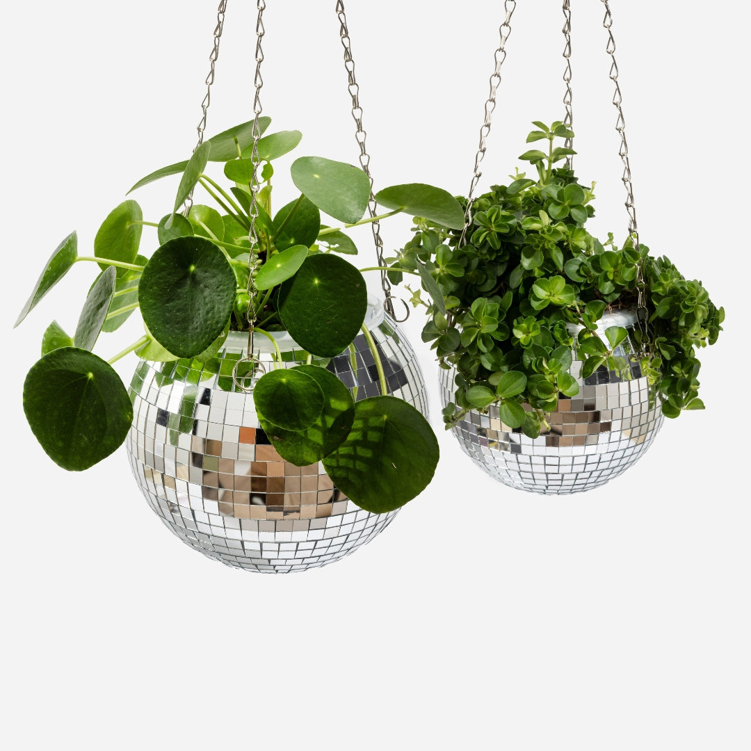 Cache-pot boule disco