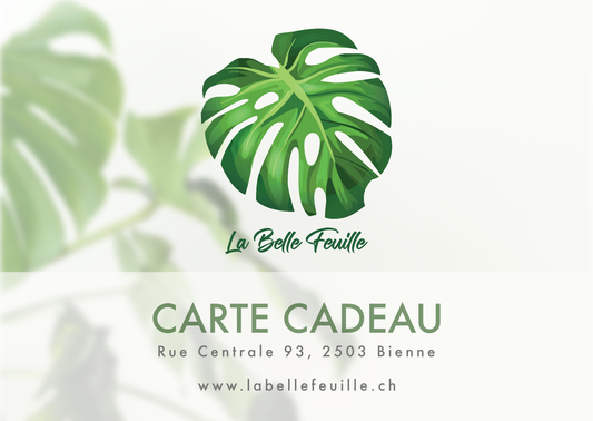 Carte cadeau La Belle Feuille