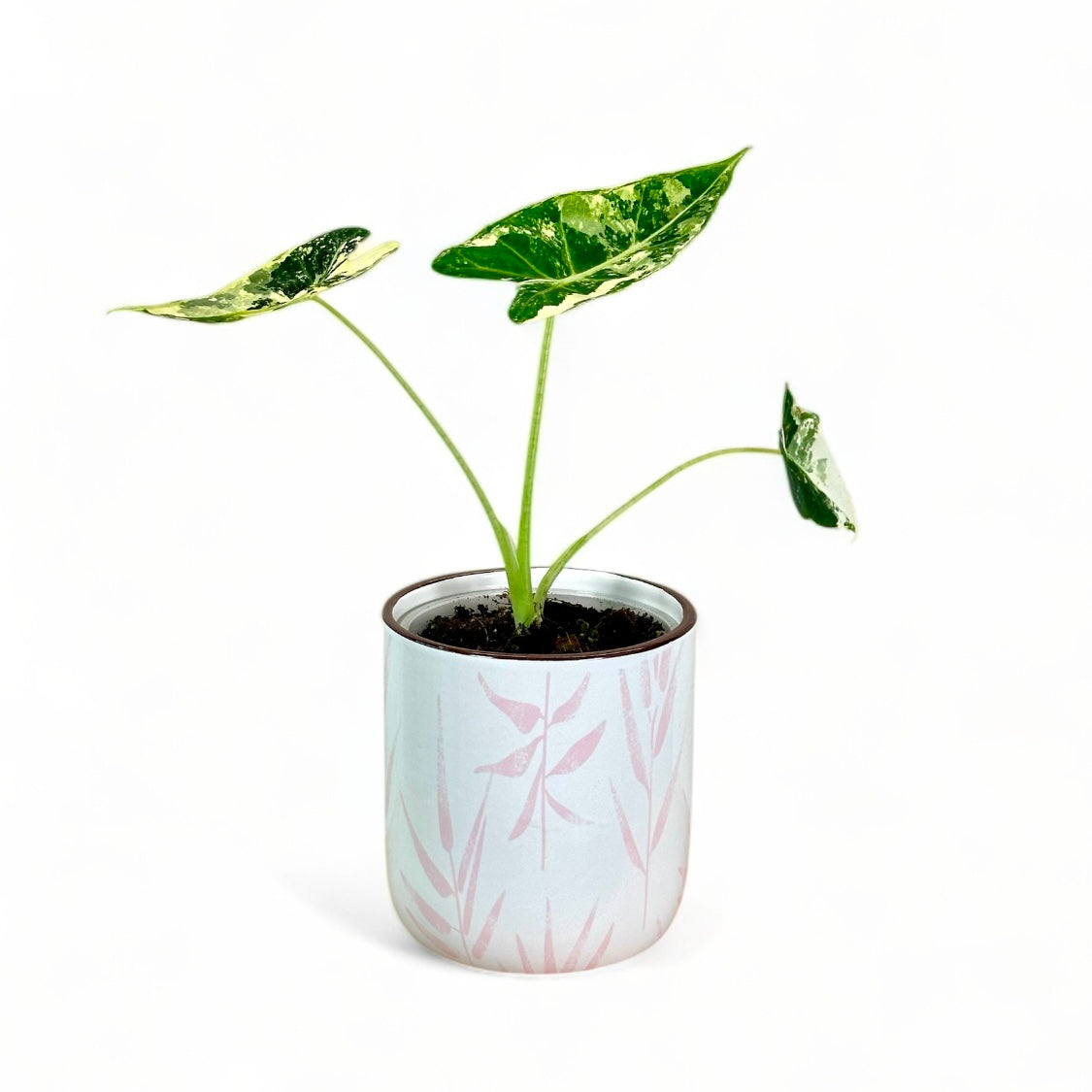 Cache-pot ''Pink Leaf'' Ø9 cm