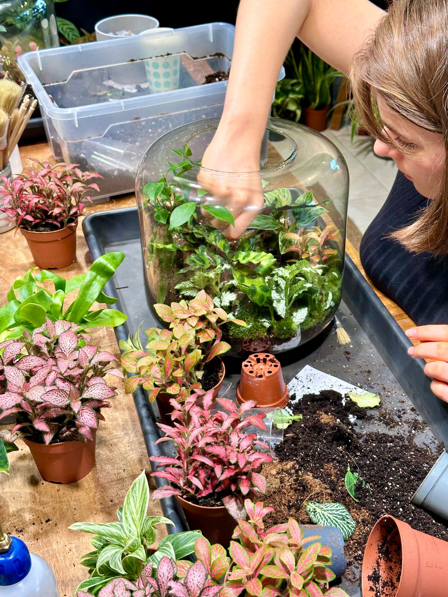 Atelier - Créer son terrarium