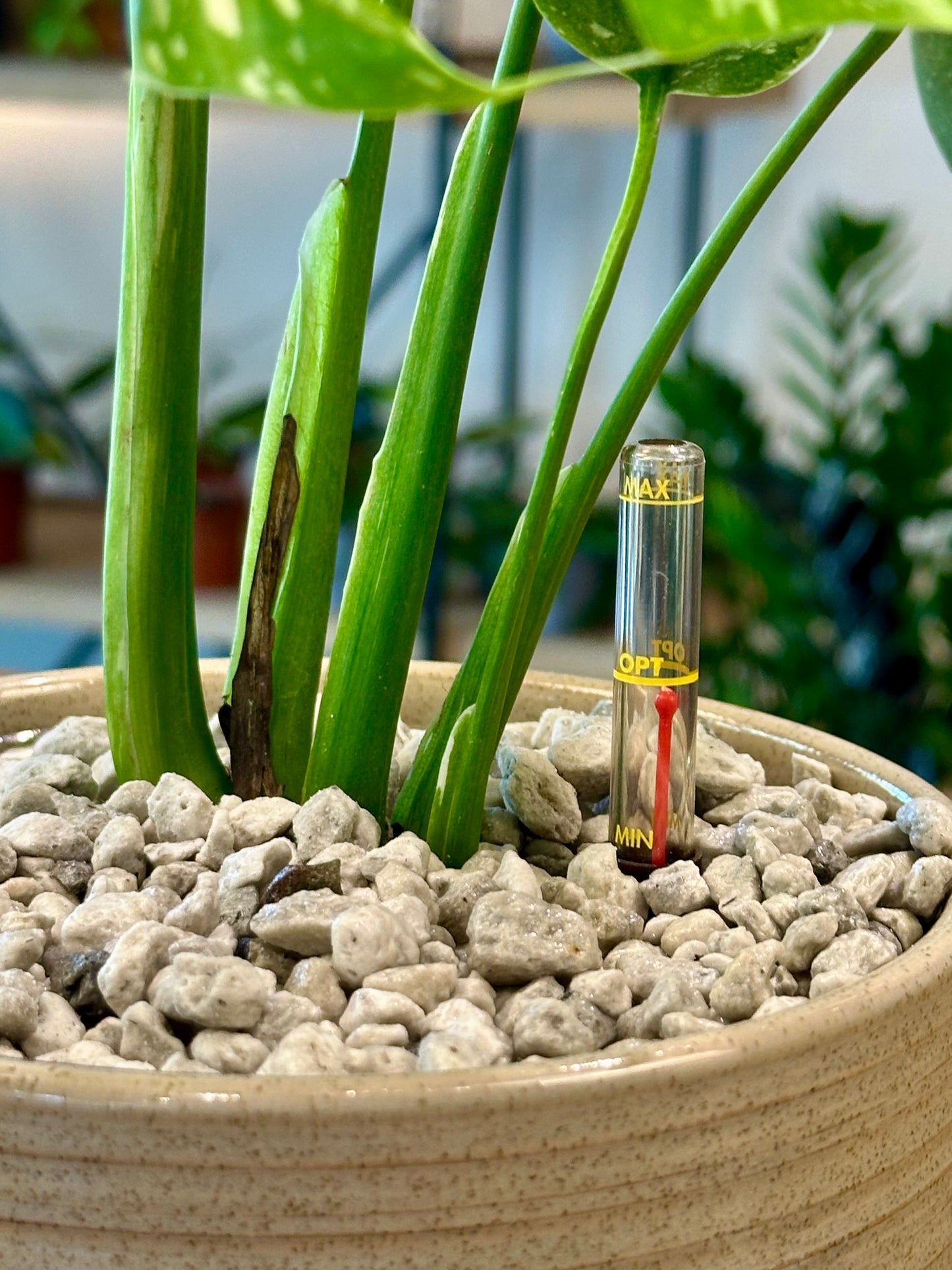 Indicateur de niveau d'eau 12 cm