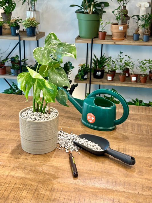 Atelier - Initiation à l’hydroculture – Substrat minéral