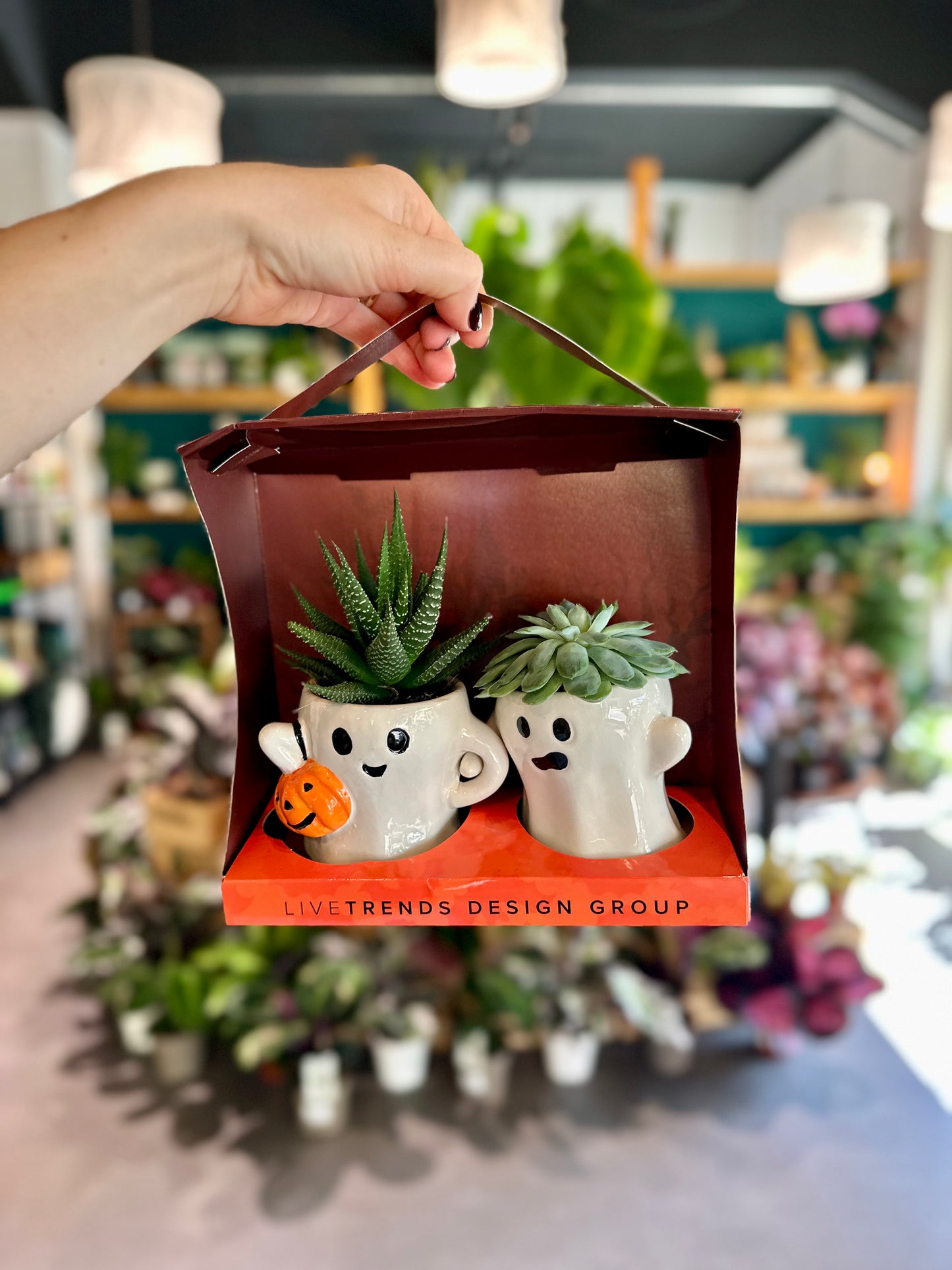 Couple de fantômes avec succulentes