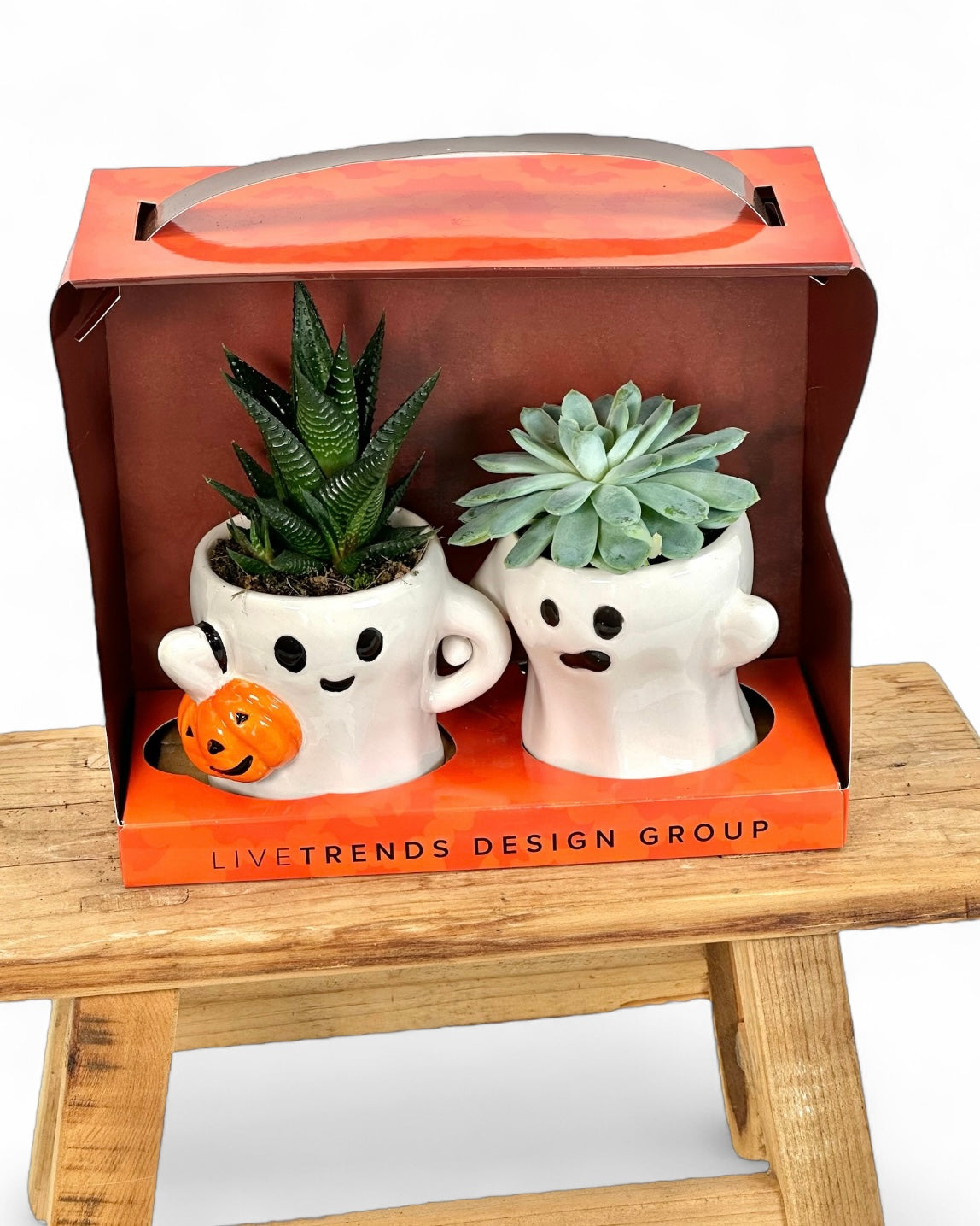 Couple de fantômes avec succulentes