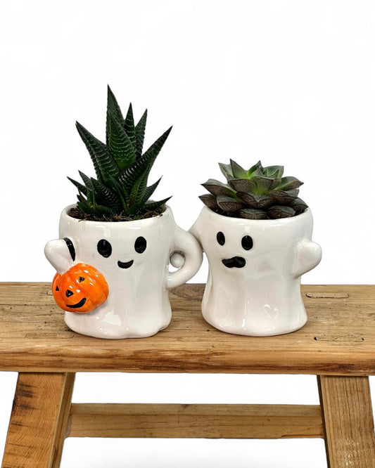 Couple de fantômes avec succulentes