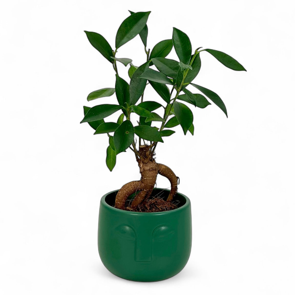 Cache-pot 'Visage' vert Ø8.5 cm