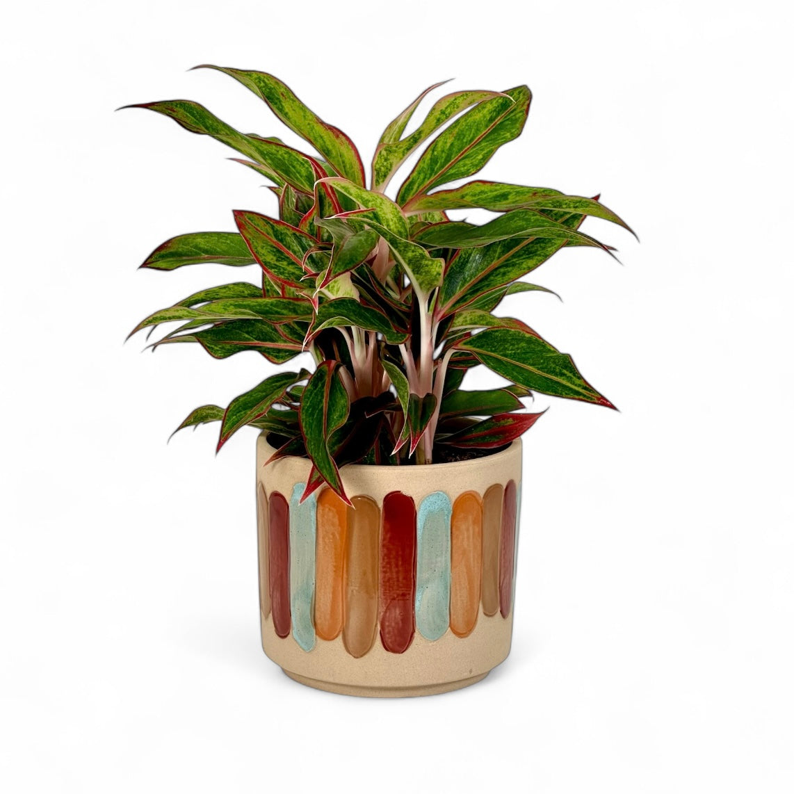 Cache-pot 'Anna' Ø12.5 cm
