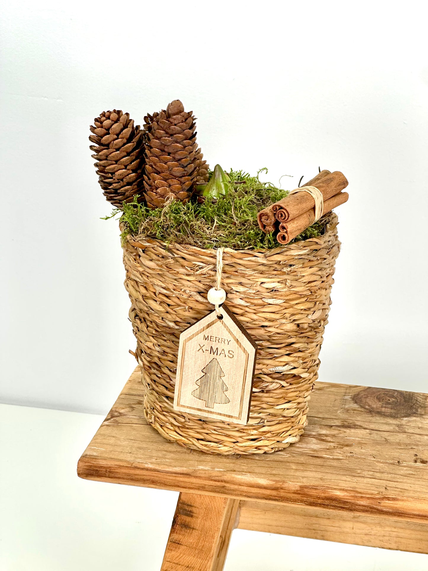 Composition Amaryllis Rouge