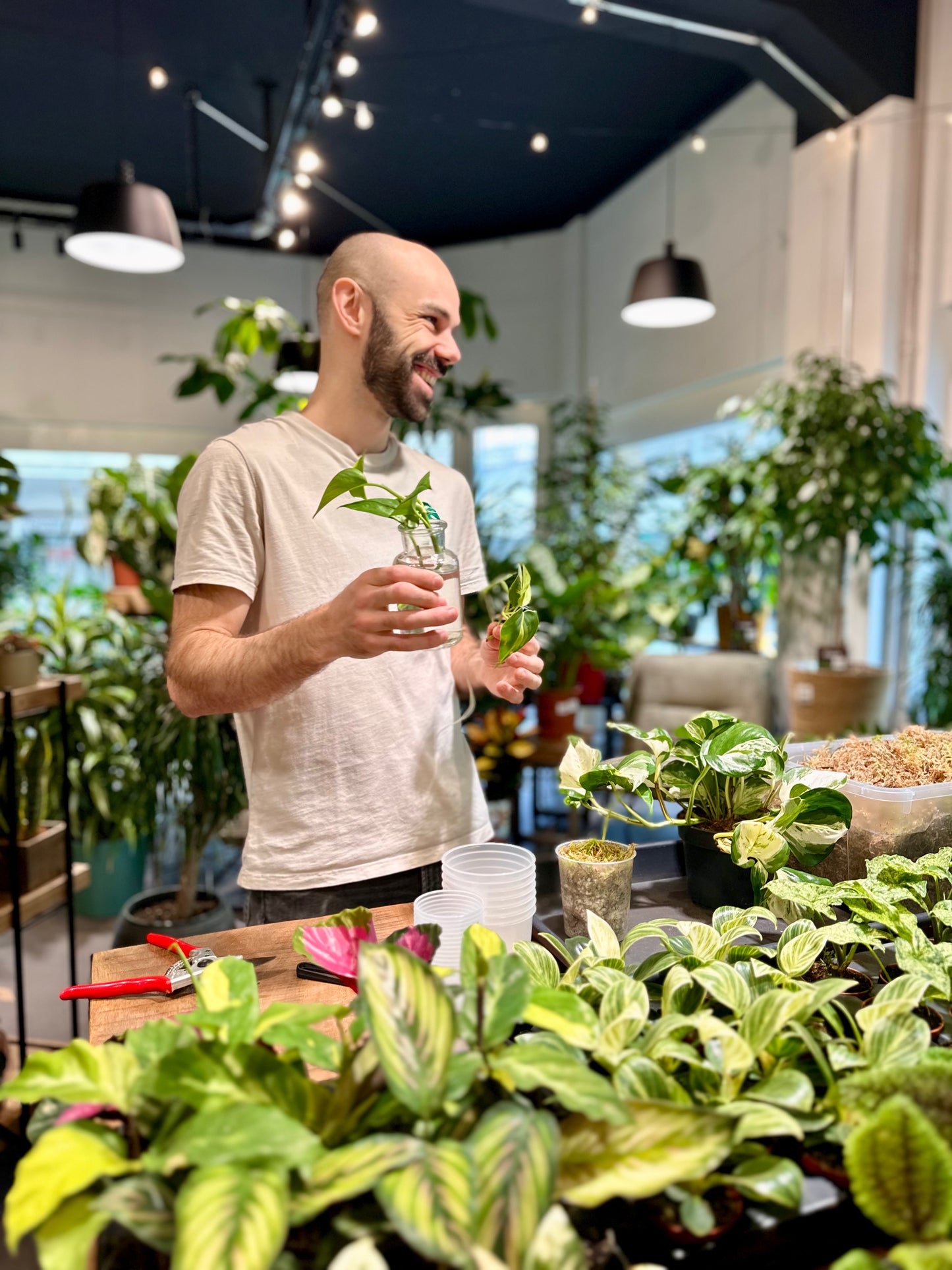 Atelier - Bouturer et multiplier ses plantes