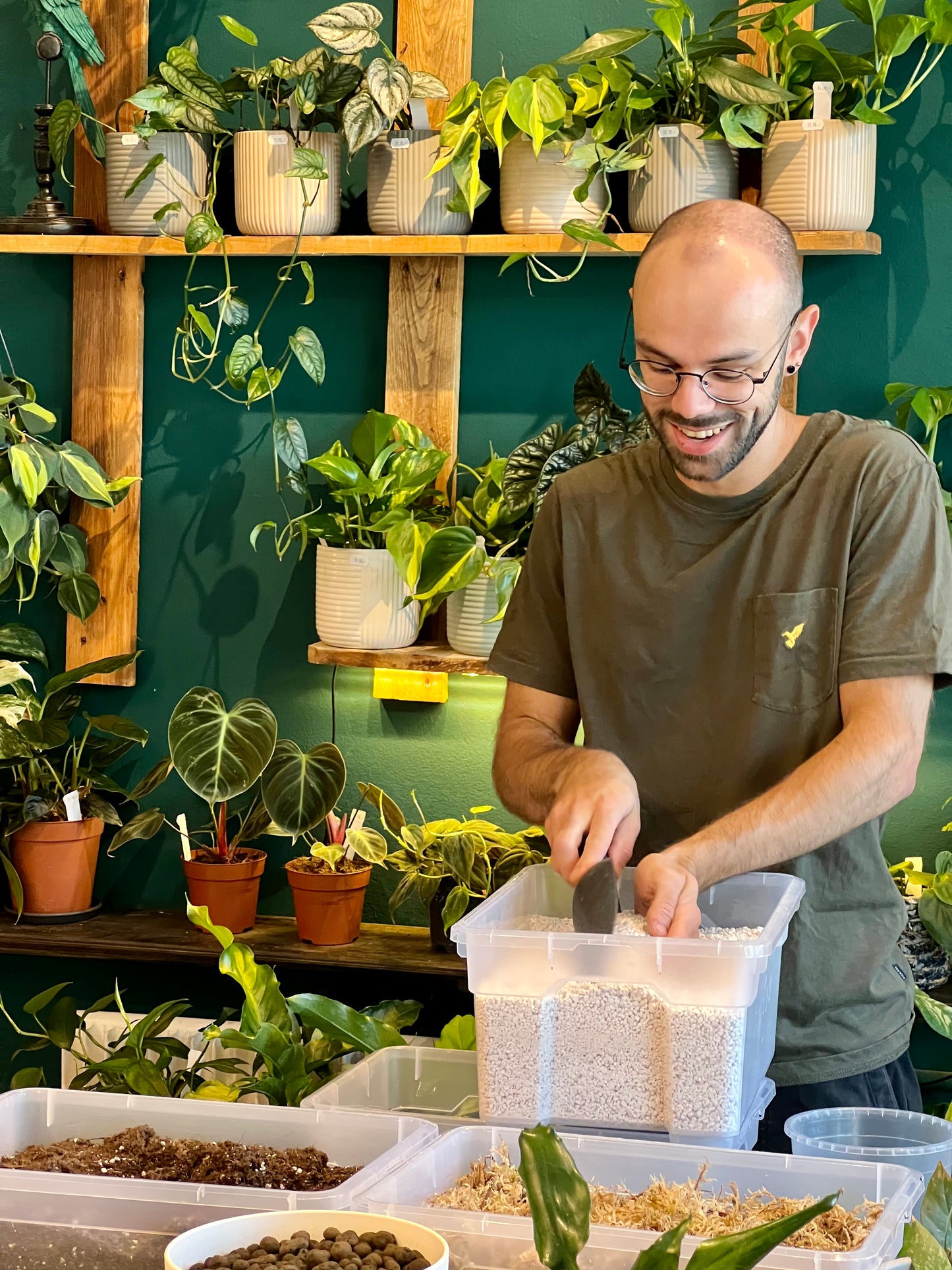 Atelier - Bouturer et multiplier ses plantes