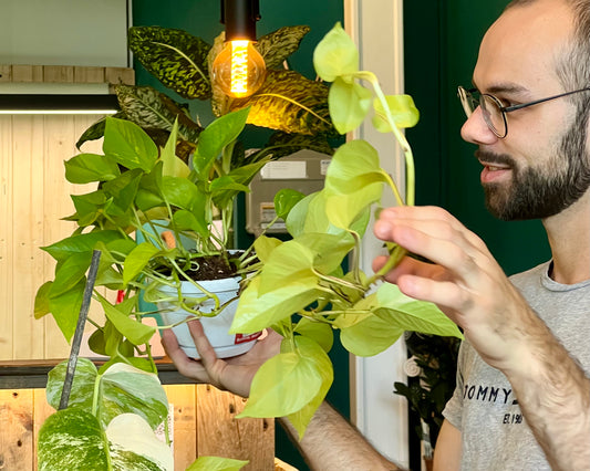 Atelier - Bouturer et multiplier ses plantes