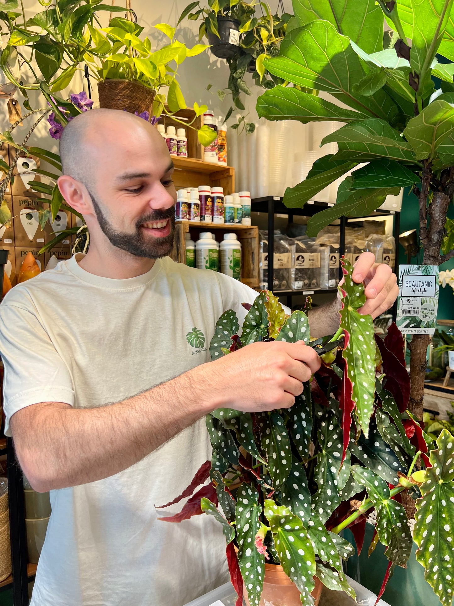 Atelier - Bouturer et multiplier ses plantes
