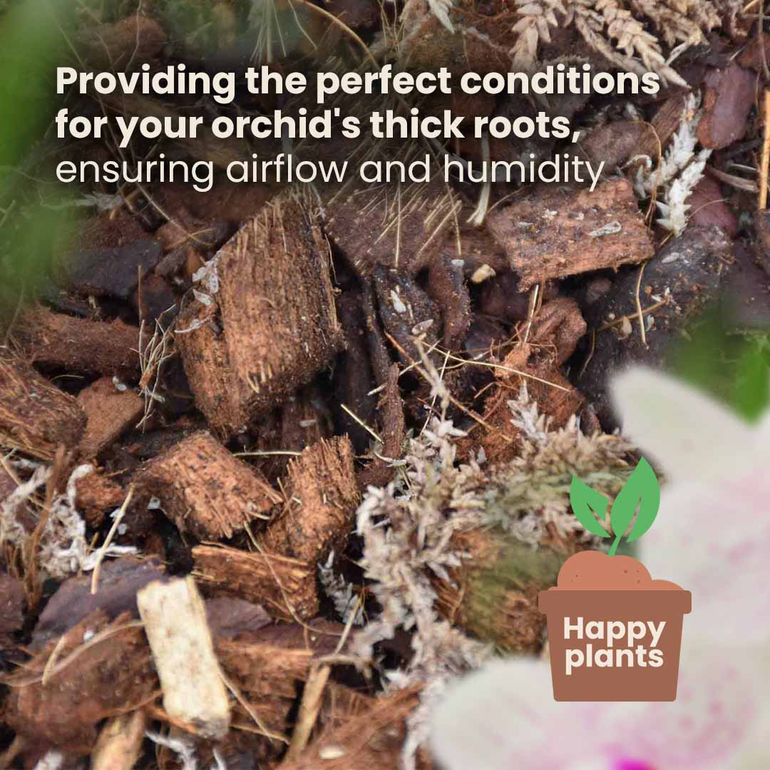 Premium Orchid Mix 5L