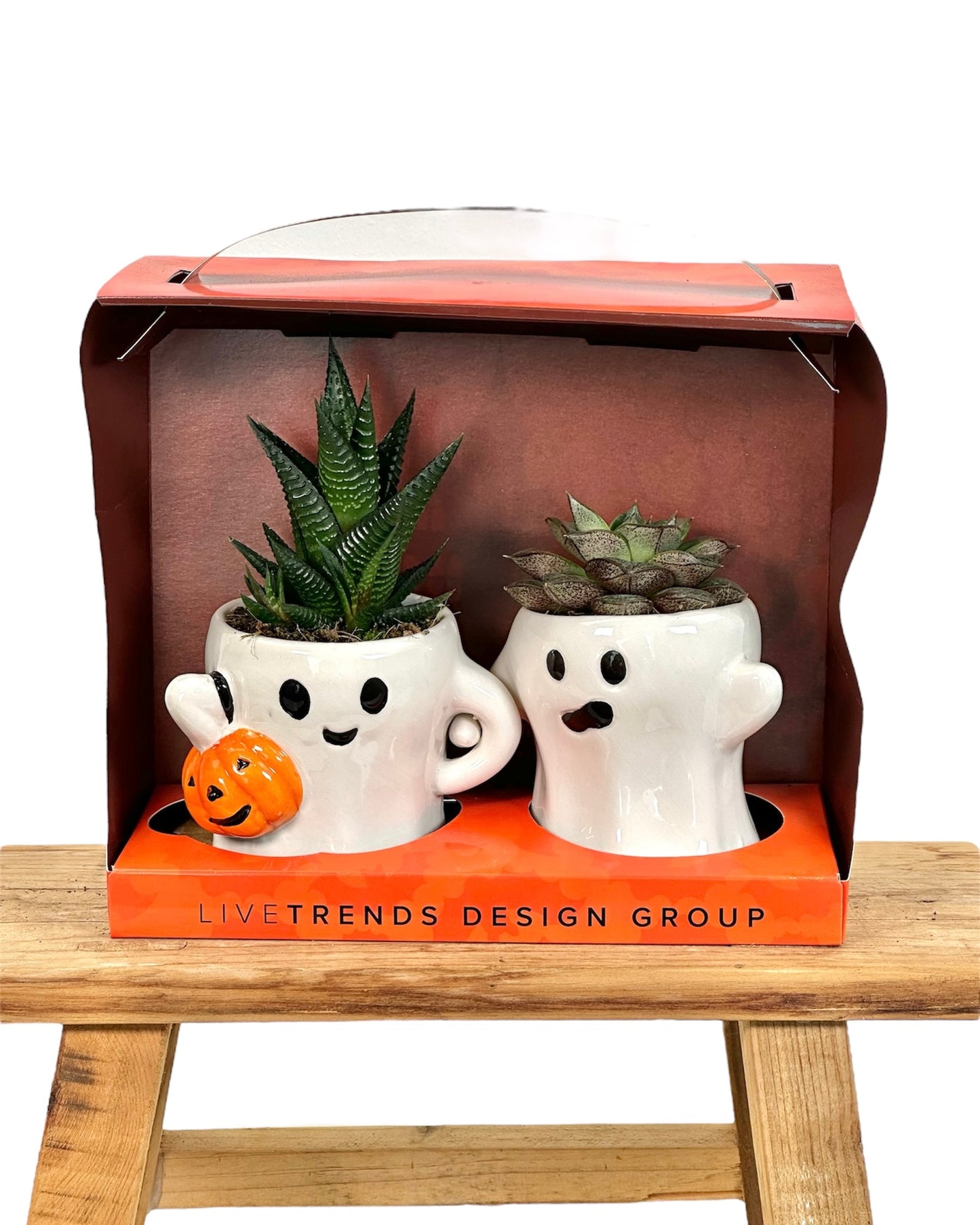 Couple de fantômes avec succulentes