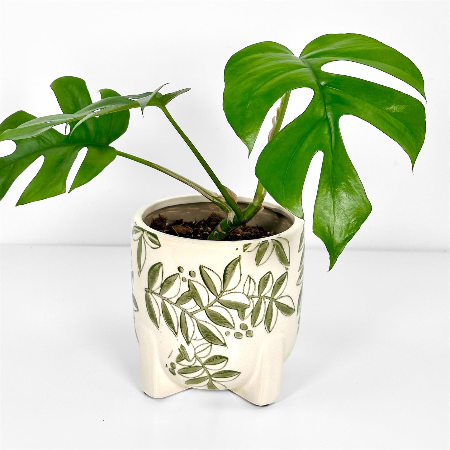 Cache-pot 'Foliage' Ø12 cm