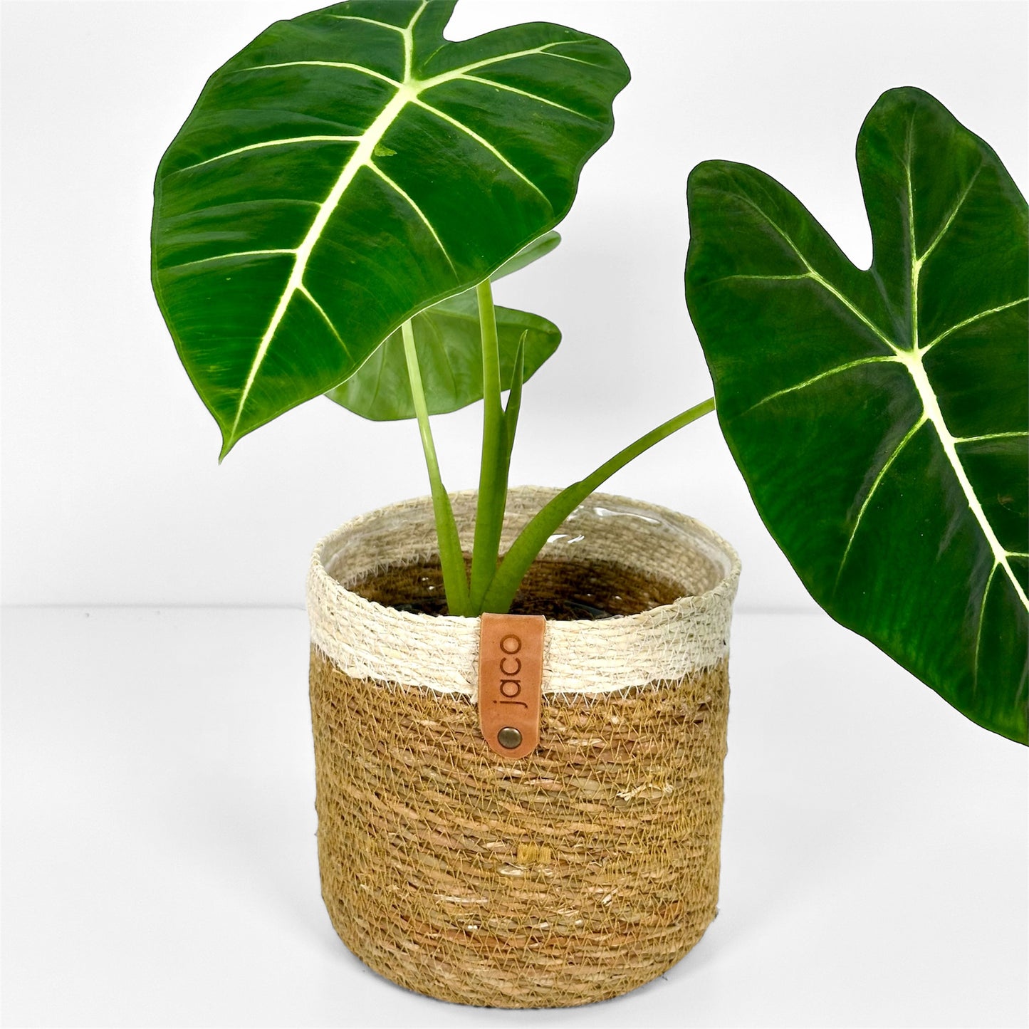 Cache-pot 'Korb Jaco' Ø16.5 cm