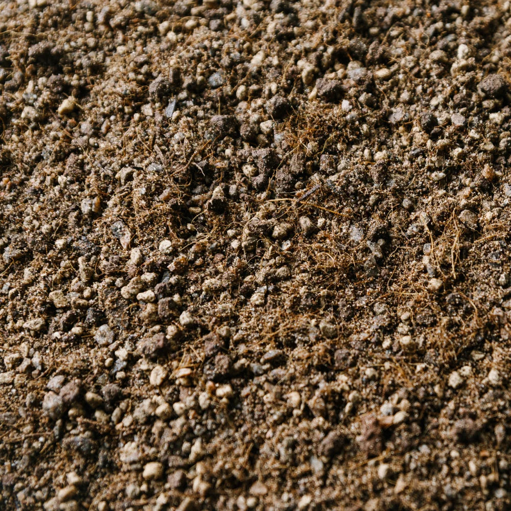 Mix pour Catus et succulentes - Soil Ninja 2.5L