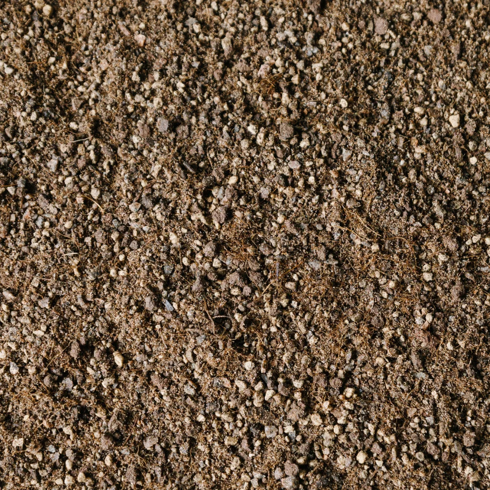 Mix pour Catus et succulentes - Soil Ninja 2.5L