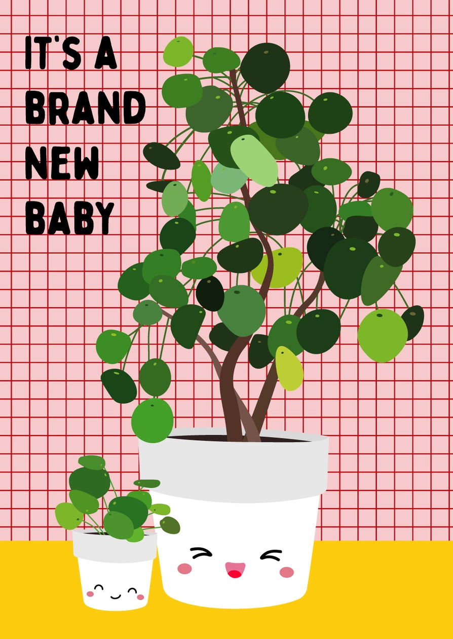 Carte de vœux ''Bébé Pilea''