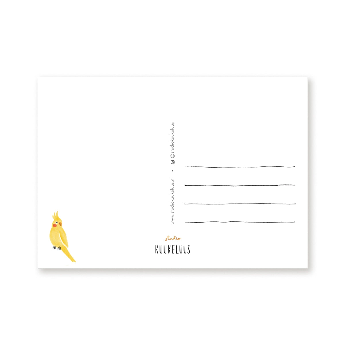 Carte postale ''Ficus Lyrata''