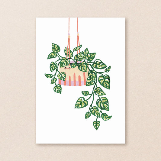 Carte postale ''Plante suspendue''