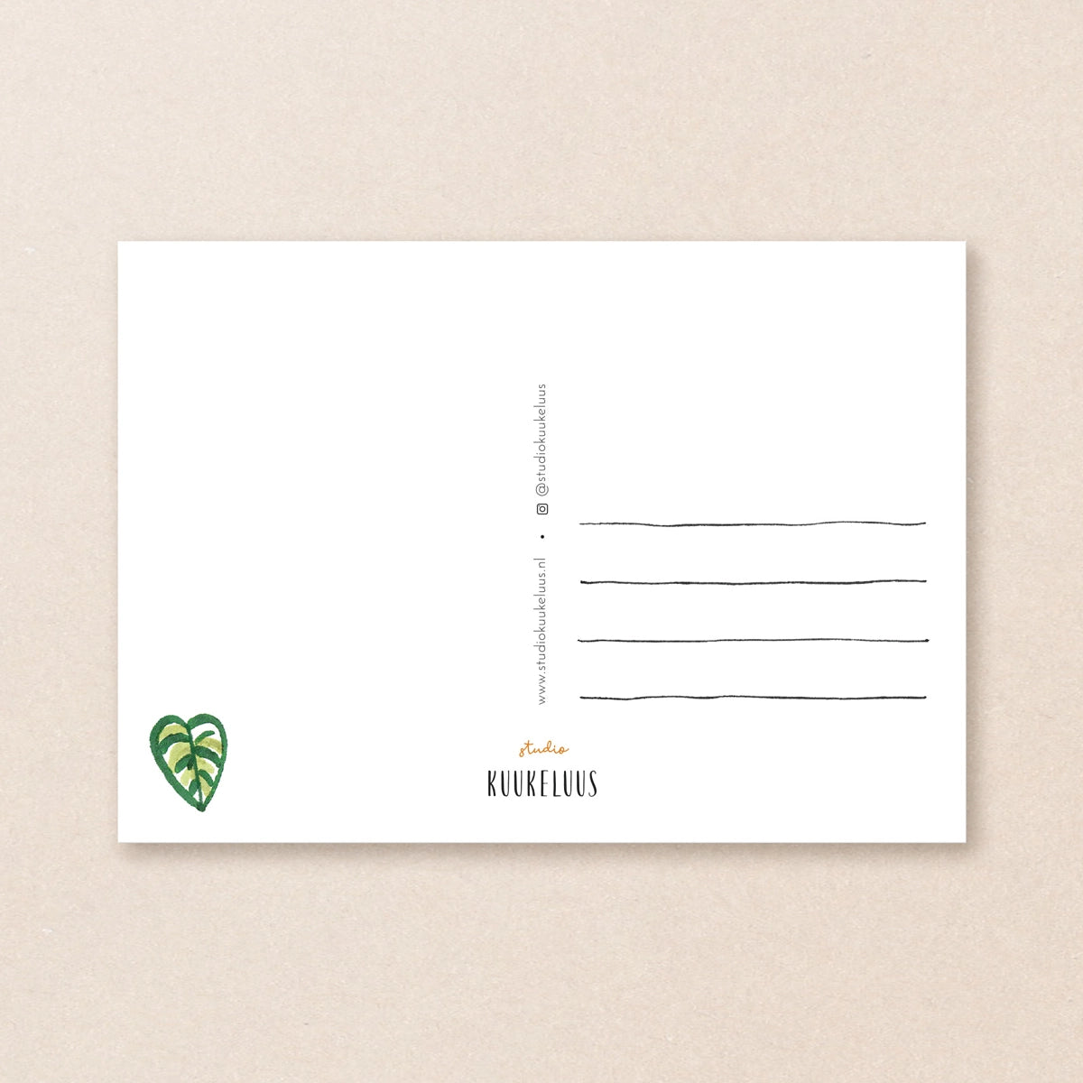 Carte postale ''Plante suspendue''