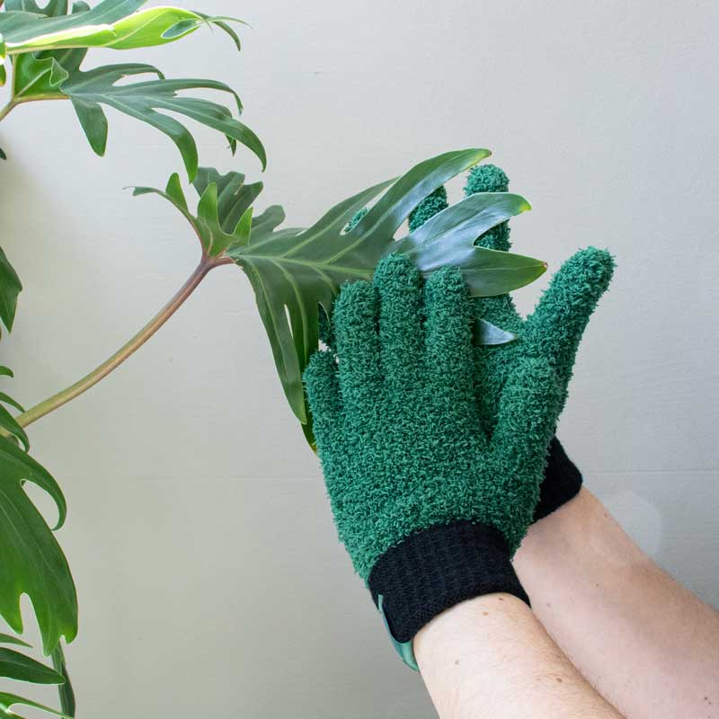 Gants Main Verte – dépoussiérants pour plantes – La Belle Feuille