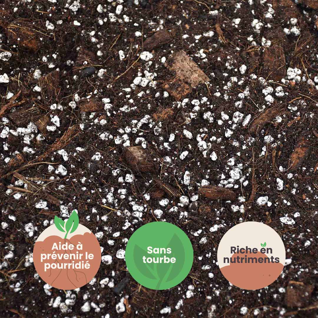 Mix pour Aracée 5L - Aroid Mix 5L