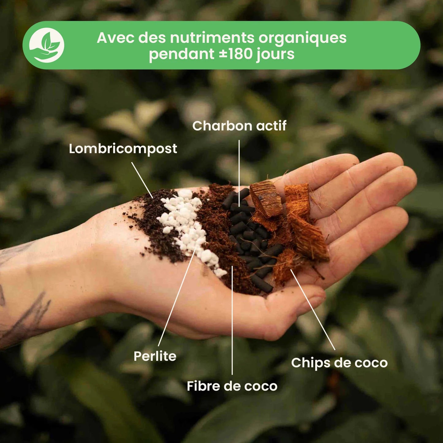 Mix pour Aracée 5L - Aroid Mix 5L