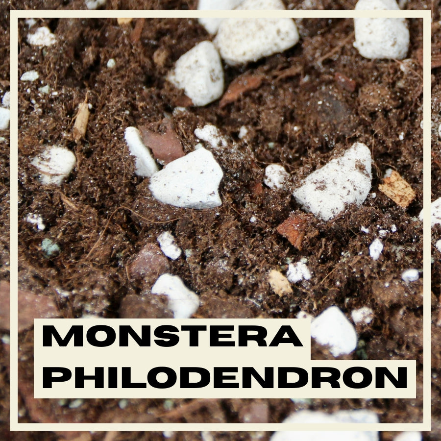 PlantNest substrat Monstera & Philodendron 3L